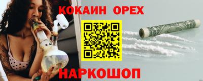 молекула духа Кингисепп