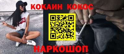 молекула духа Кингисепп