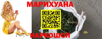молекула духа Кингисепп