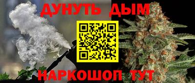 молекула духа Кингисепп