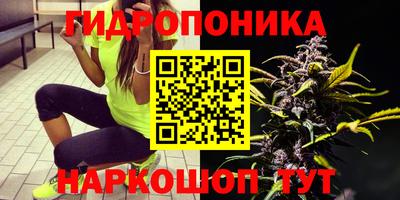 стаф Камышлов