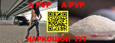 молекула духа Кингисепп